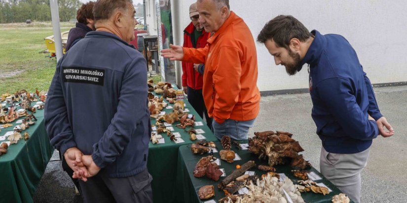 FOTO Ivanečka gljivarijada okupila 200 sudionika, a u &scaron;umi pronađen i tartuf
