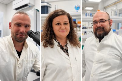 Troje znanstvenika Sveučili&scaron;ta Sjever među najcitiranijim znanstvenicima u svijetu