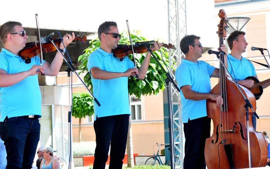 vz sejem