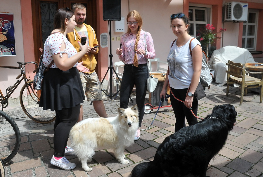 varazdin-festival-dvorista_06.JPG