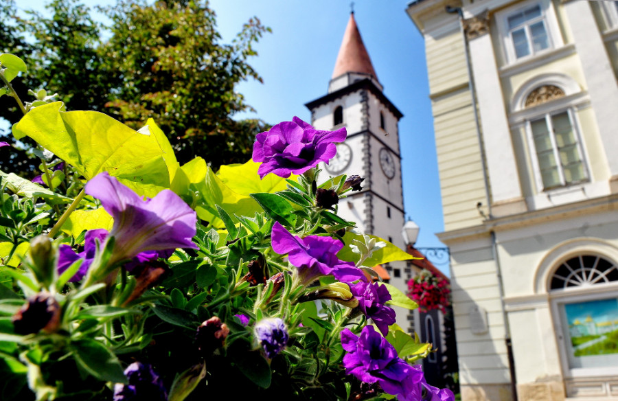 varazdin-ljeto-cvijece_06.jpg