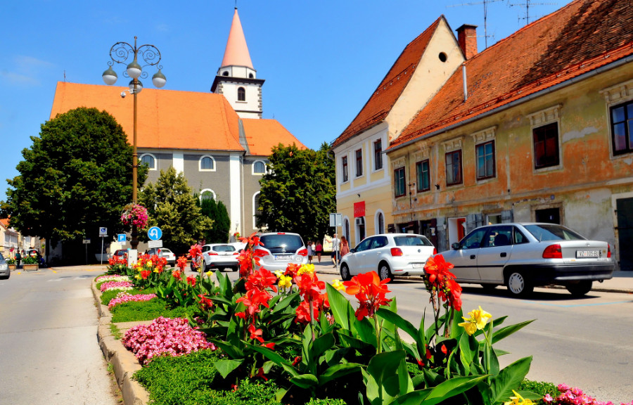 varazdin-ljeto-cvijece_08.jpg