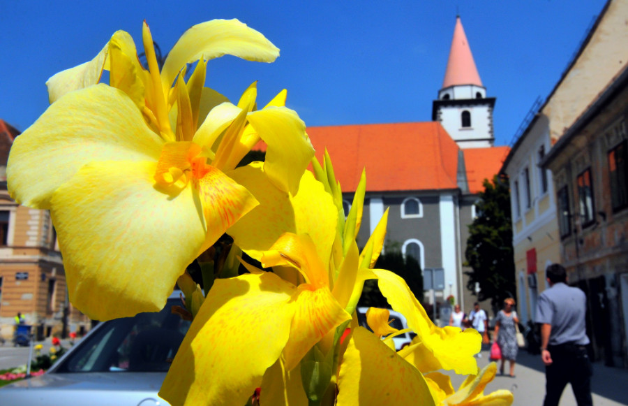 varazdin-ljeto-cvijece_09.jpg