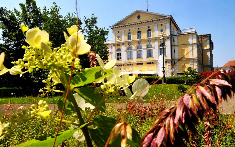 varazdin-ljeto-cvijece_15.jpg