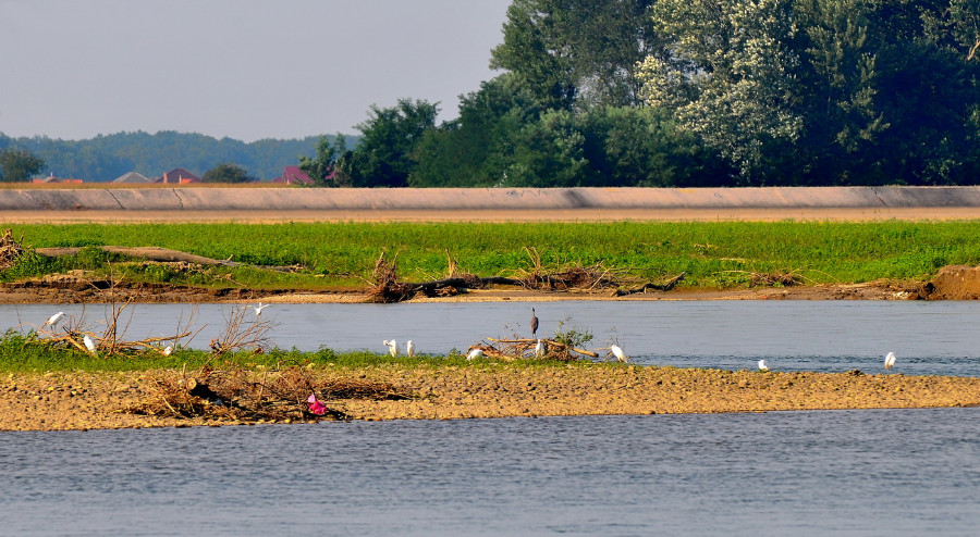 varazdin-jezero-snizeni-vodostaj_11.jpg