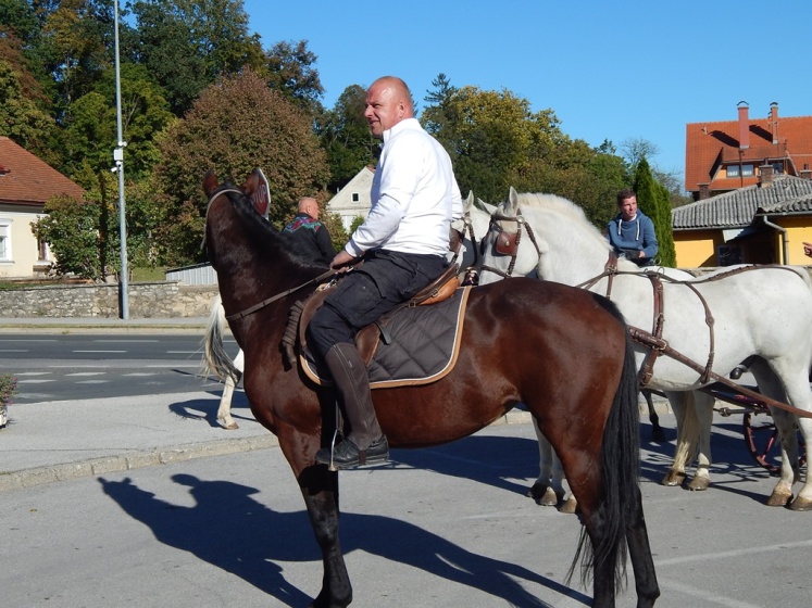 konjari_marof_rujan_2018_2.JPG