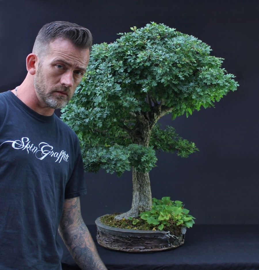 flora_centrum_mundi_bonsai.jpg