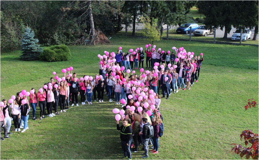 medicinska_skola_varazdin_dan_ruzicaste_vrpce_2.jpg