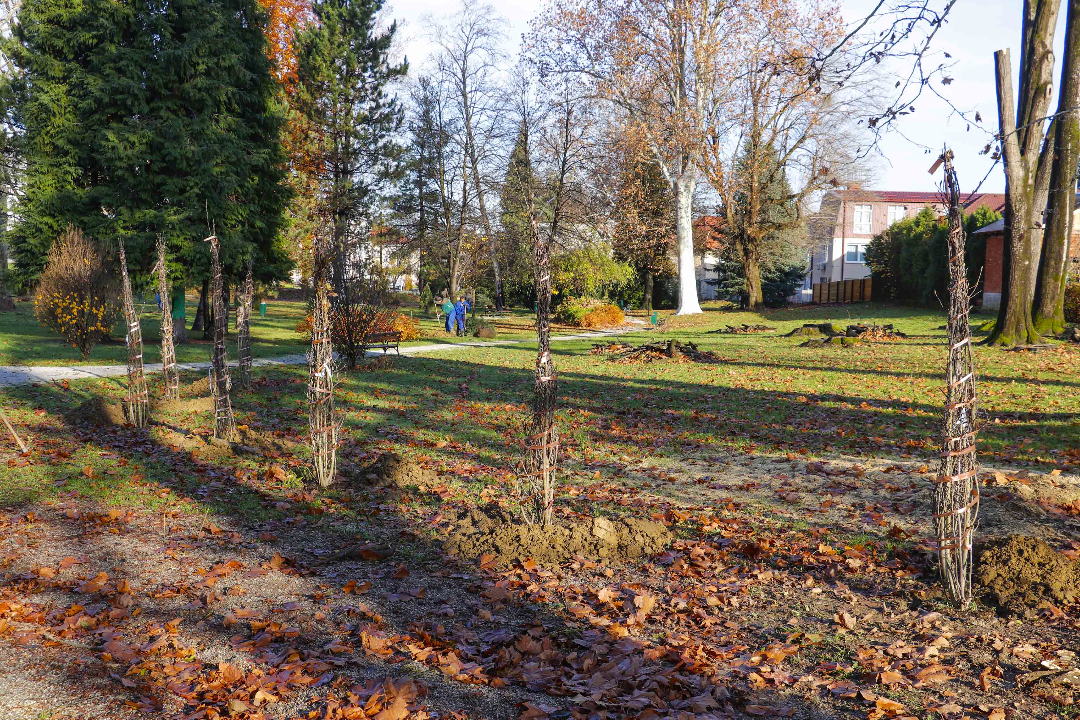 sadnja-park-211119.jpg