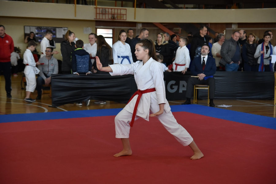 toplice_karate_4.jpg