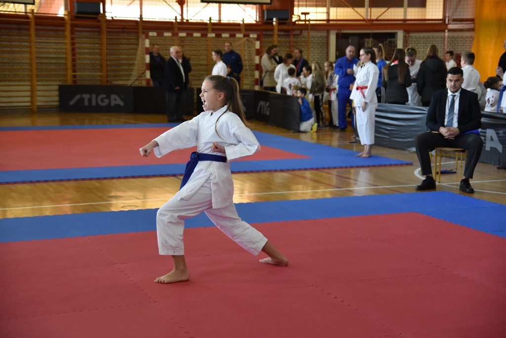 toplice_karate_5.jpg