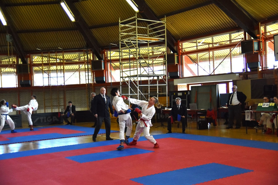 toplice_karate_7.jpg