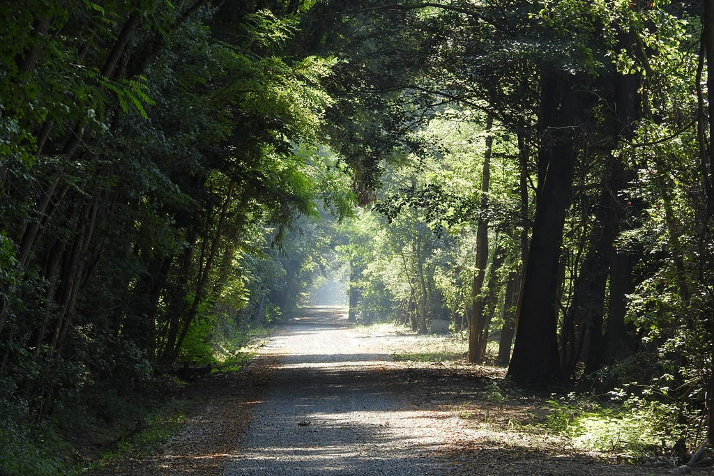 mali_bukovec_cesta_krizancija_7.jpg