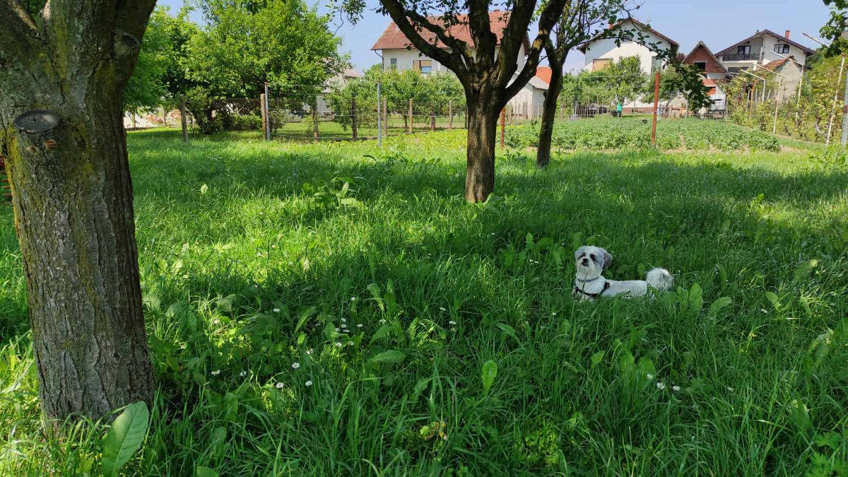 igraliste_brezje_varazdin_05062021_08.jpg