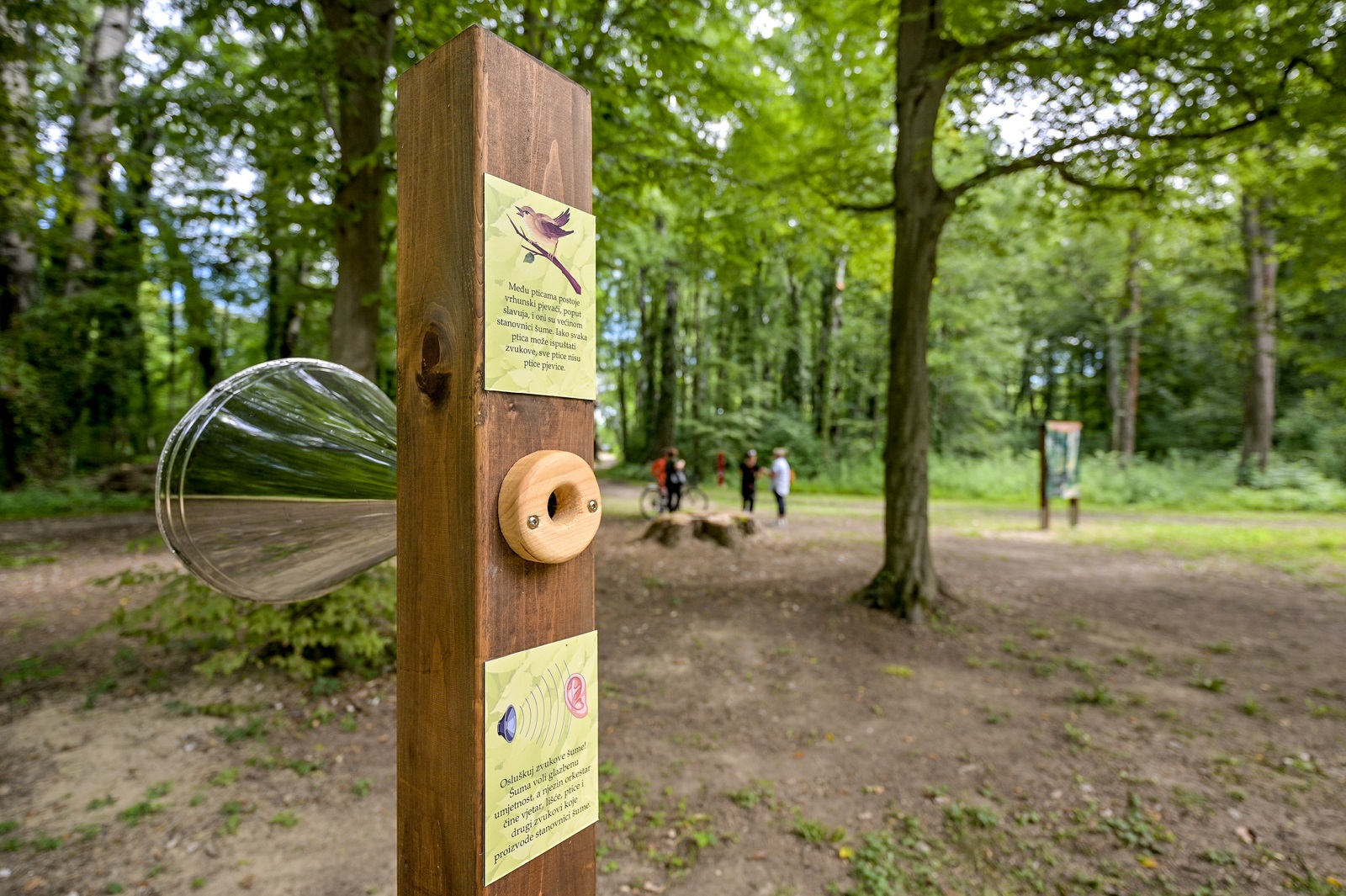dravska_park_suma_10.jpg