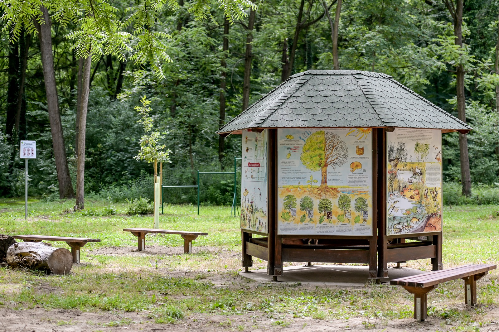 dravska_park_suma_2.jpg