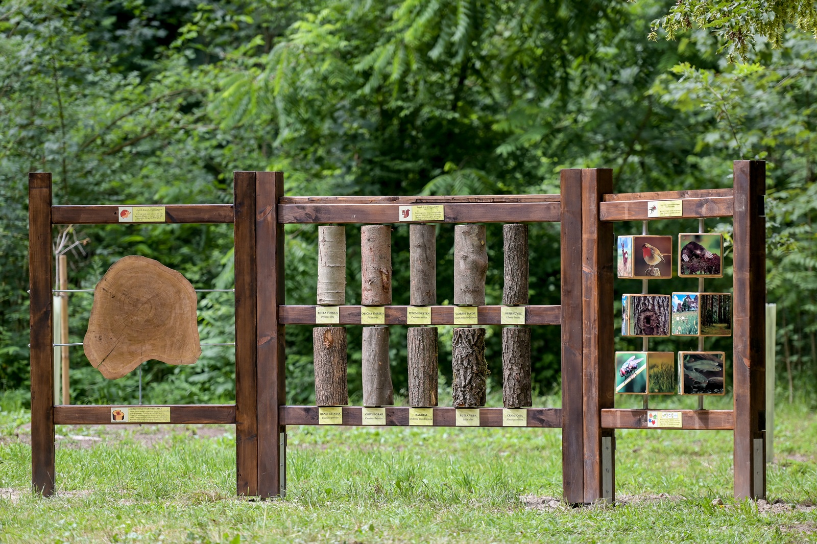 dravska_park_suma_6.jpg