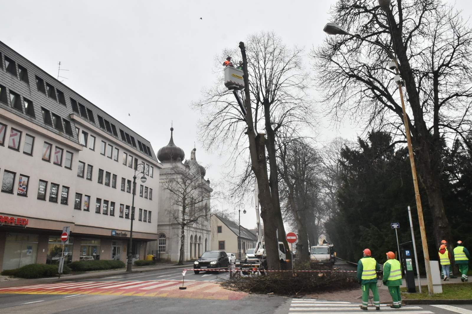 lipa_rusenje_varazdin_03032023_7.jpg