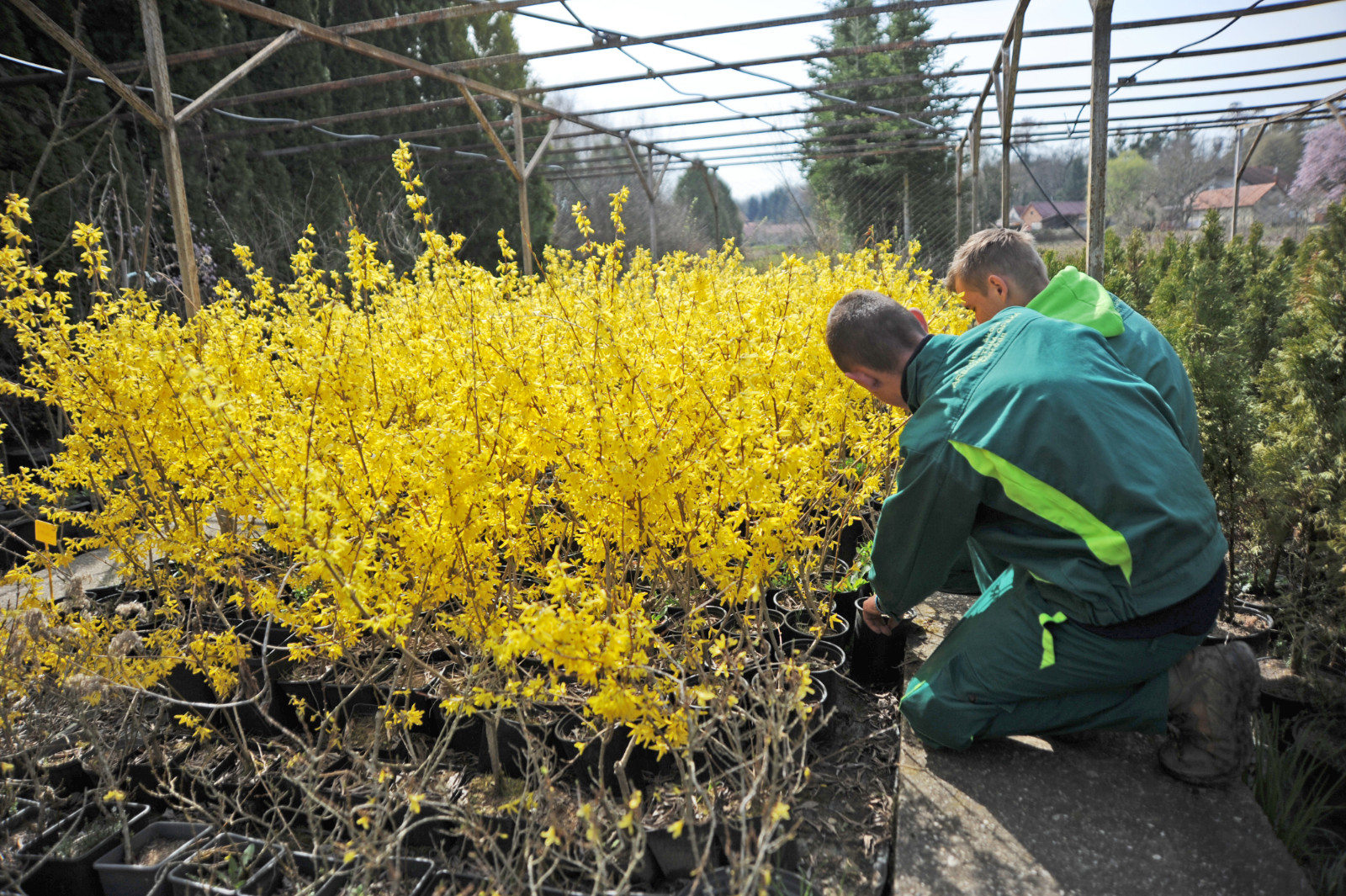 srednja_skola_arboretum_opeka_marcan_29032023_4.jpg