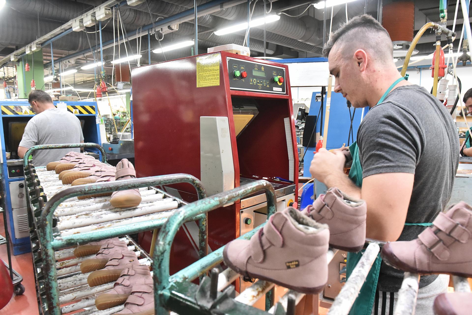 DSC_5559_batch1.jpg