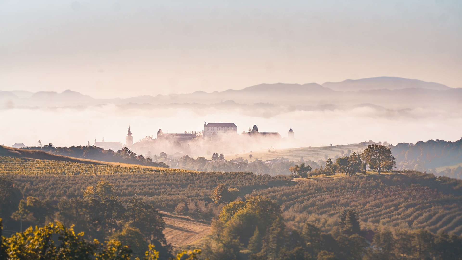 Ptuj_zadnja.jpg