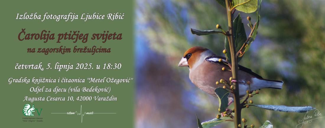 plakat_izlozba_Lj_R_Varazdin_2.JPG