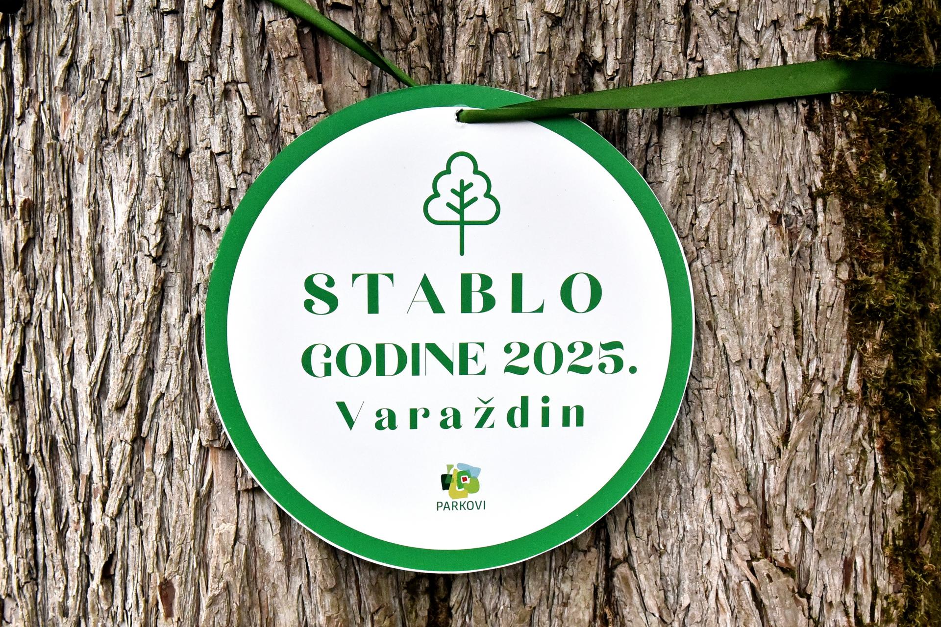 stablo_godine_varazdin_17062025_11.jpg