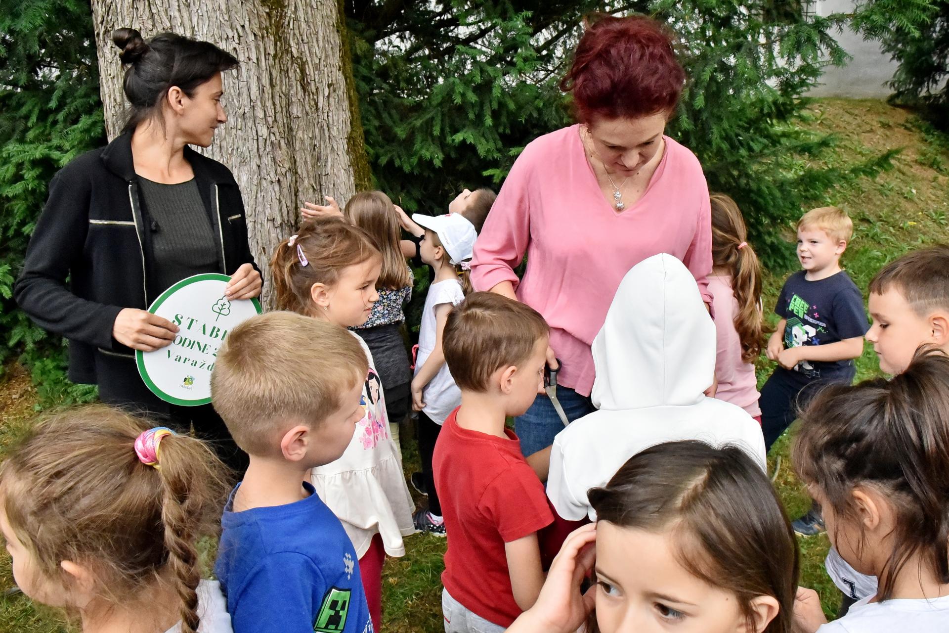 stablo_godine_varazdin_17062025_8.jpg