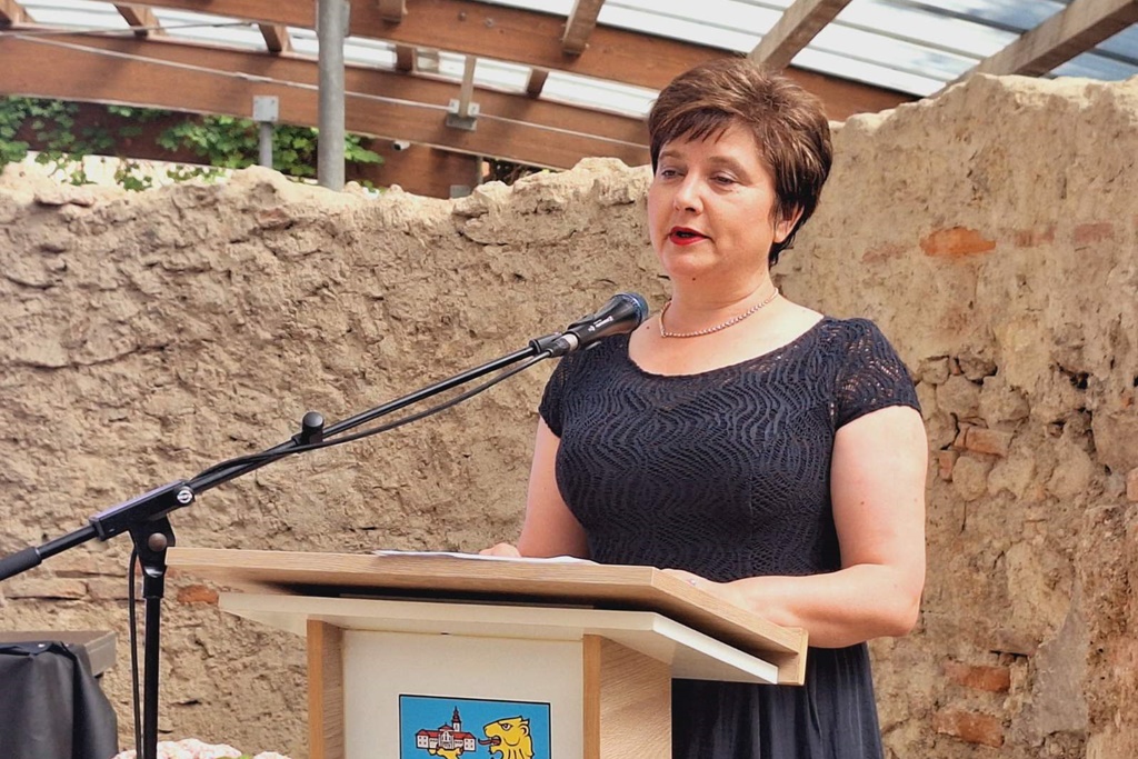 varazdinske_toplice_aquafest_strucni_skup_06062025_10.jpg
