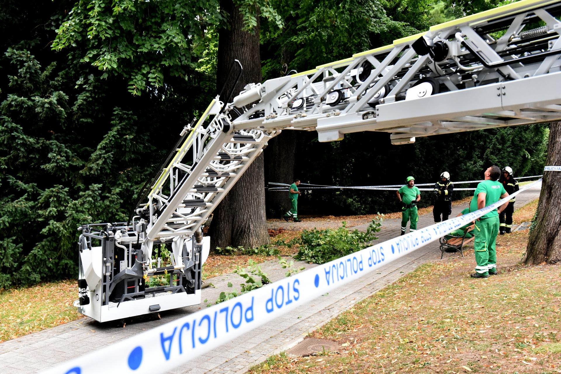 jagicev_park_slomljena_grana_uklanjanje_22072025_1.jpg