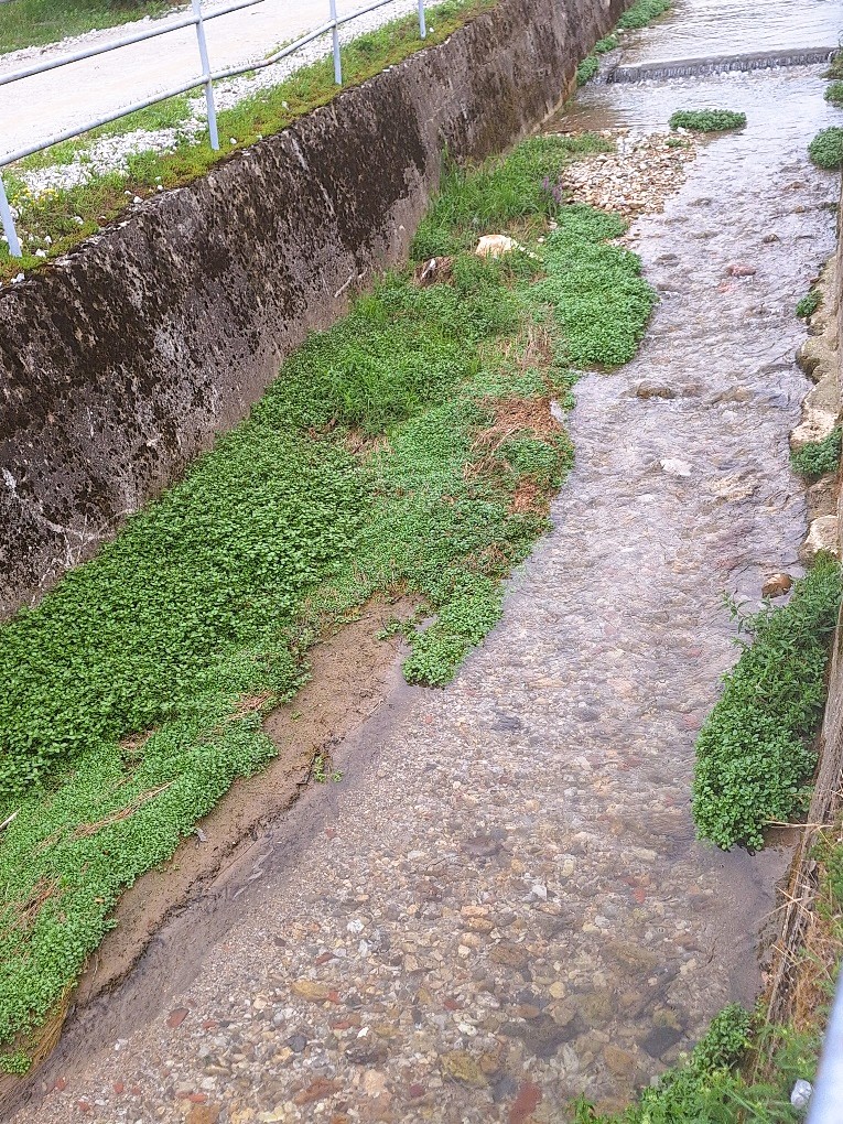 ivanec_ciscenje_potoka_bistrica_27082025_2.jpg