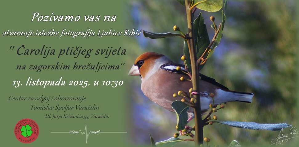 ljubica_ribic_najava_izlozbe_07102025.jpg