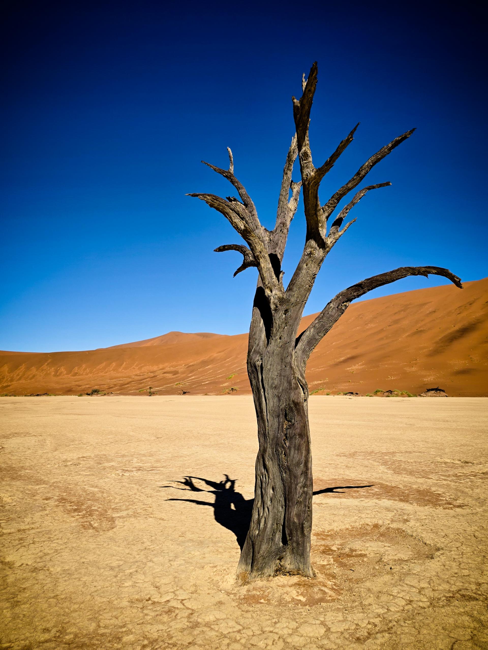 Namibia_-_Deadvlei_-_Vujnovac.jpg