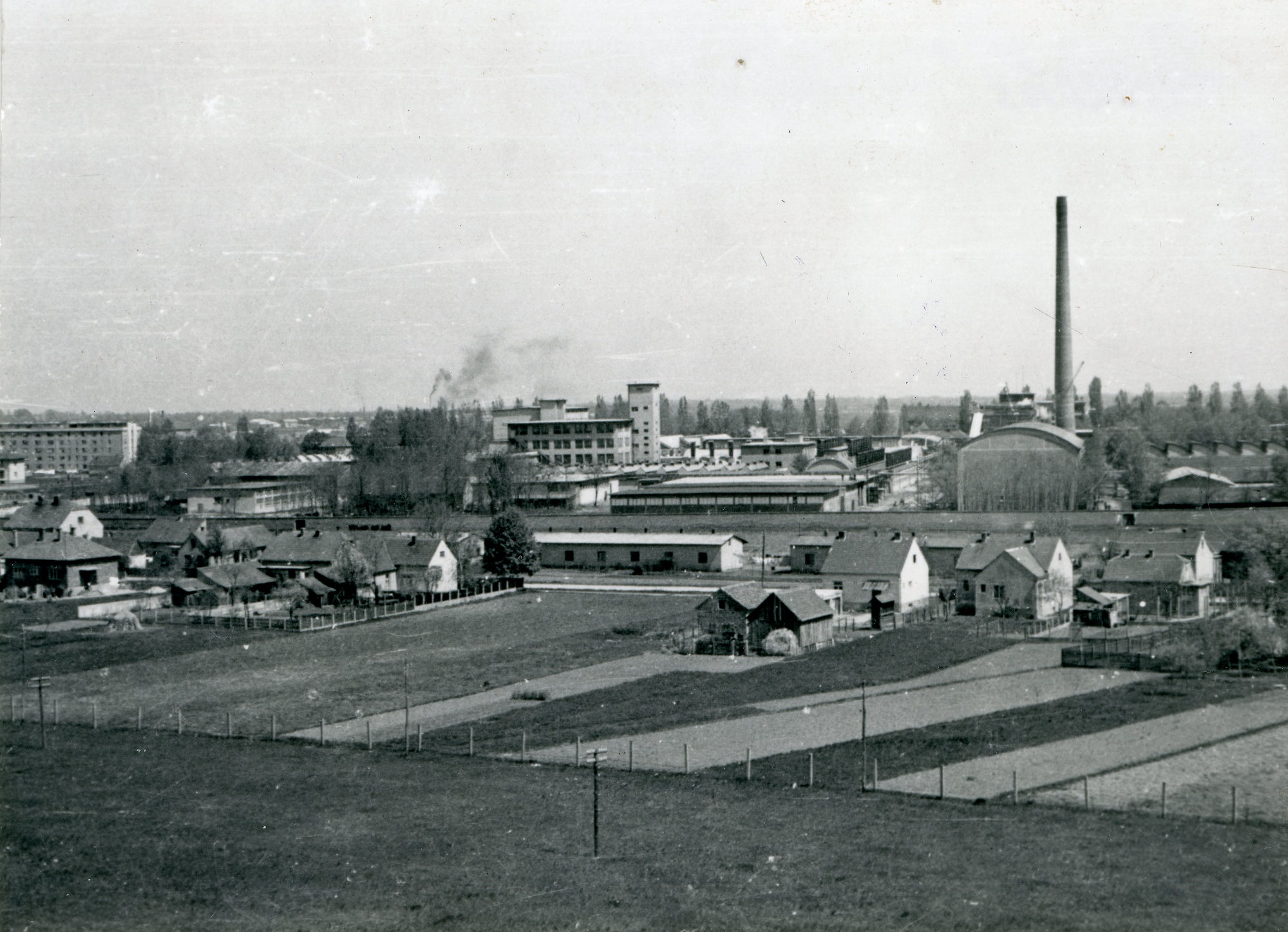 Foto-Dragutin_Trglavcnik_Biskupecka_1950._GMV_93138.jpg