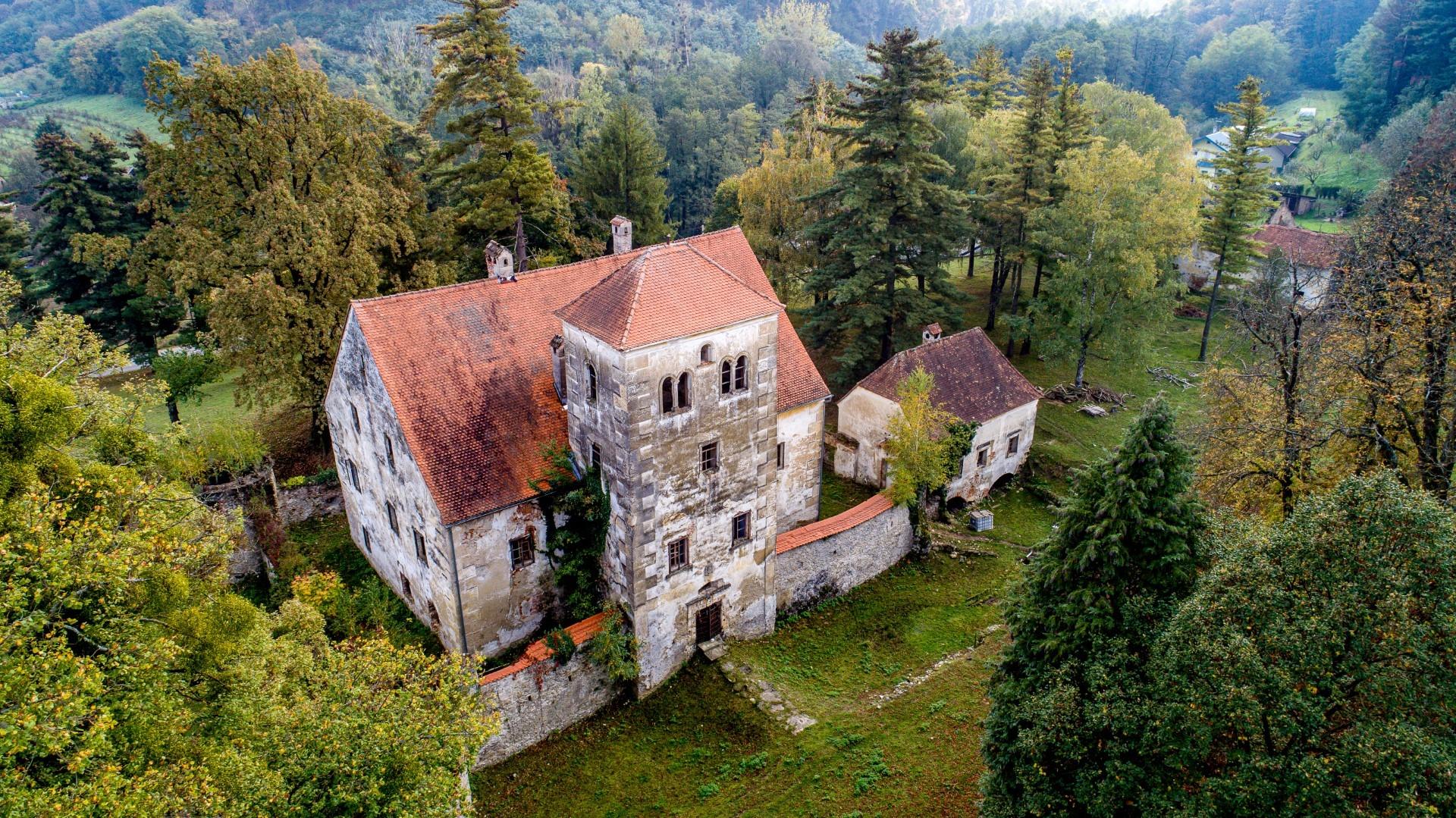 dvorac_bela_I.jpg