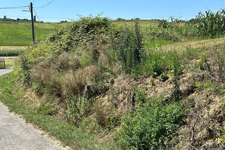breznicki_hum-butkovec-kliziste_31072026_4.jpeg