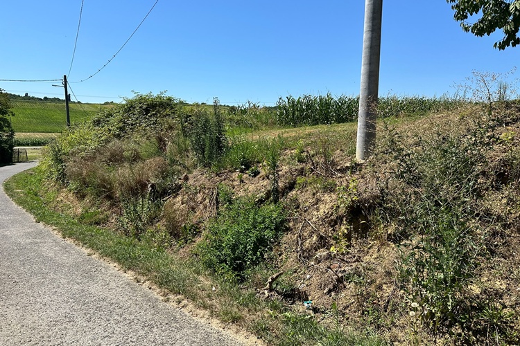 breznicki_hum-butkovec-kliziste_31072026_5.jpeg