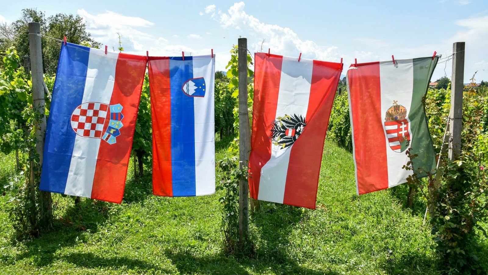 lu_kula_kneginec_likovna_kolonija_11072026_8.jpg