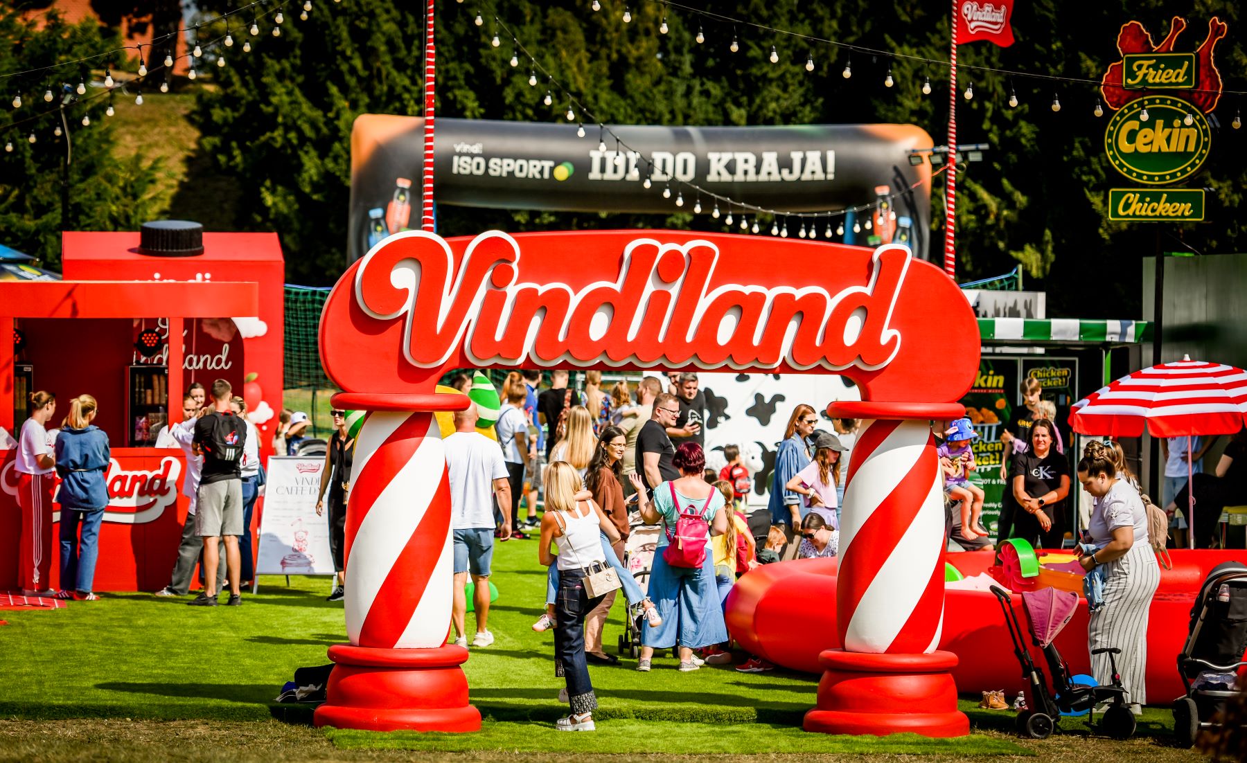 VINDILAND_2.jpg