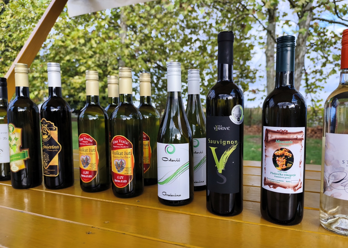 Festival_vinskih_strasti_Cestica_12092026_6.jpg