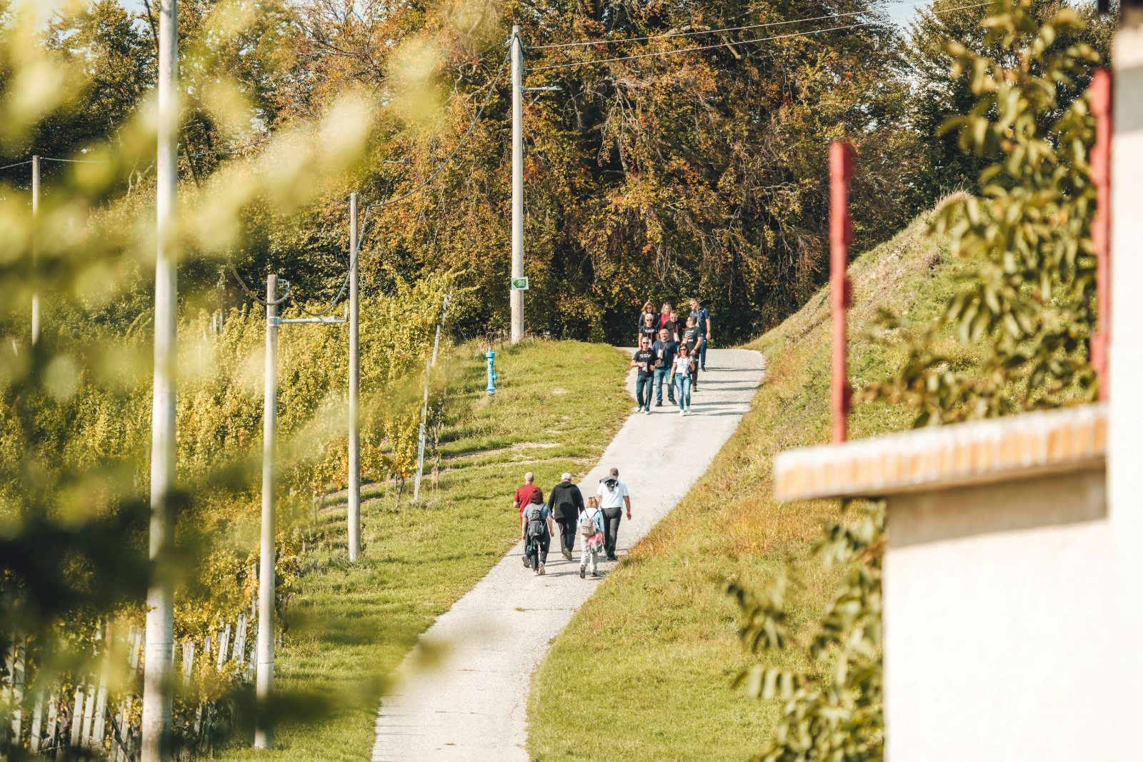 Wine_Walk_Cestica_2026_najava_3.jpg