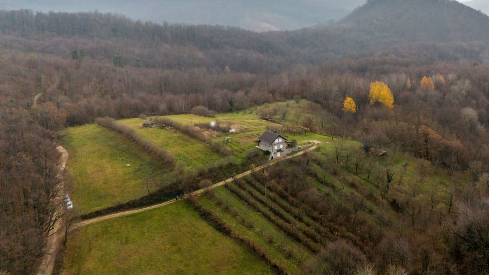 ljubelj_kalnicki__2_.jpg