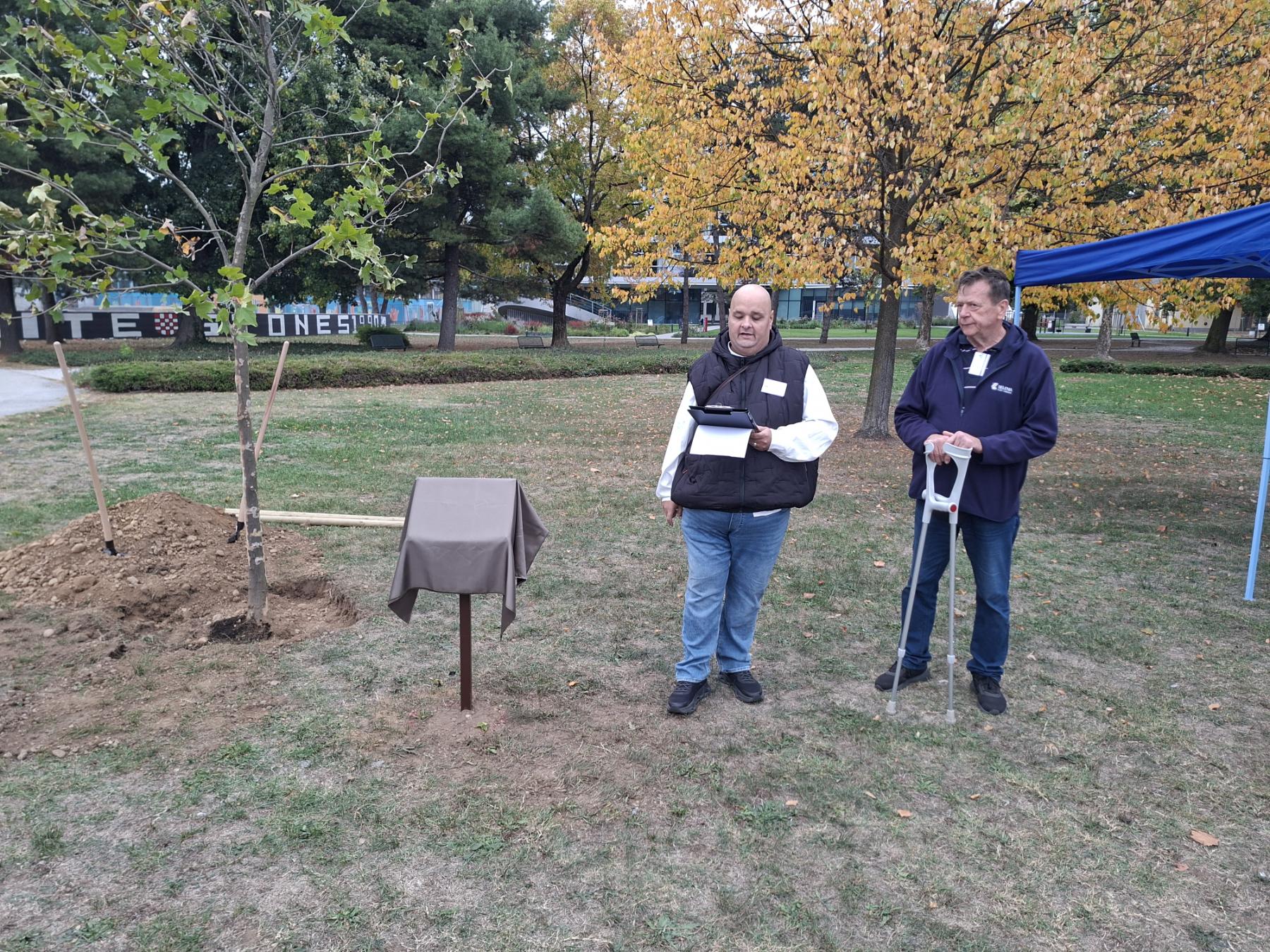 101026_drvo_zivota_transplantirani_1_10.jpg