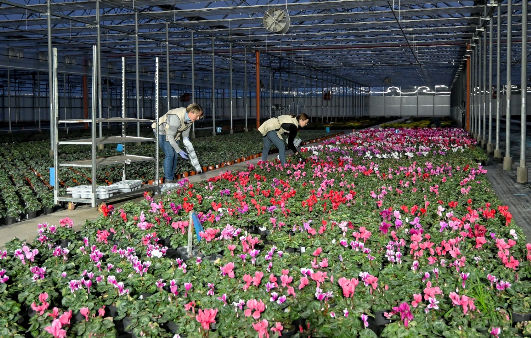 obilazak_sracinec_listopad_2026_3.jpg
