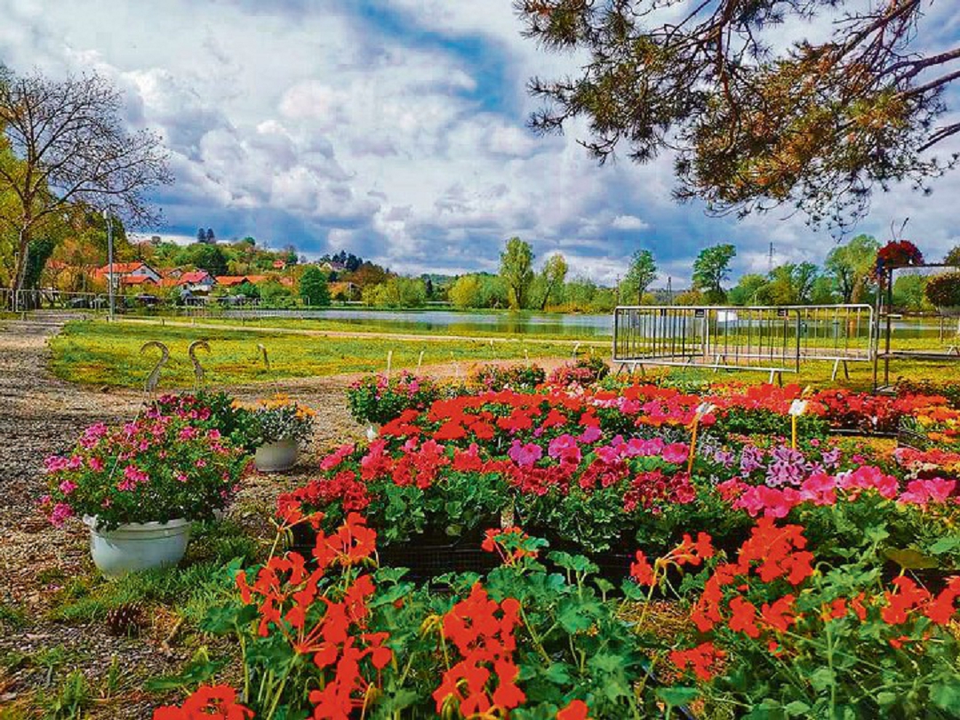 40949 92236 DAFA MM SC 1